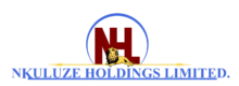 NKULUZE-HOLDINGS-LTD-LOGO-2-removebg-preview